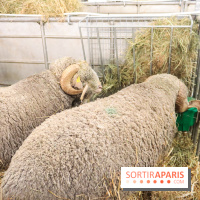 Salon de l'agriculture 2023