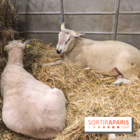 Salon de l'agriculture 2023