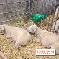 Salon de l'agriculture 2023