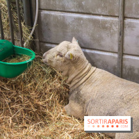 Salon de l'agriculture 2023 - 20230227153925 IMG 3901