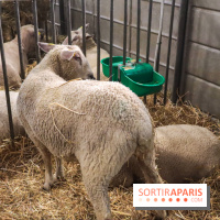 Salon de l'agriculture 2023