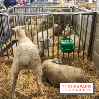 Salon de l'agriculture 2023