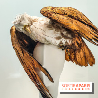 1997 Fashion Big Bang : l'exposition détonante du Palais Galliera - IMG20230303102448