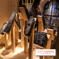 Exposition Notre-Dame de Paris : au cœur du chantier -  A7C4628