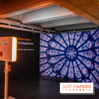 Exposition Notre-Dame de Paris : au cœur du chantier -  A7C4595