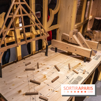 Exposition Notre-Dame de Paris : au cœur du chantier -  A7C4627