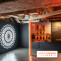 Exposition Notre-Dame de Paris : au cœur du chantier -  A7C4625