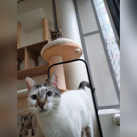 Le Moustache Pension - IMG20230204161815