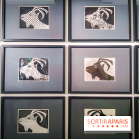 Célébration Picasso, l'exposition anniversaire colorée au musée Picasso Paris - nos photos - IMG20230306174112