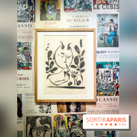 Célébration Picasso, l'exposition anniversaire colorée au musée Picasso Paris - nos photos - IMG20230306175907