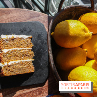 Treize au jardin - 20230302144833 IMG 4056