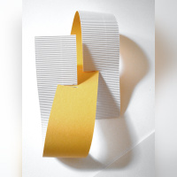 Trouble, l'exposition intriguante au Patronage Laïque Jules Vallès ! - PASSIMA Cristina