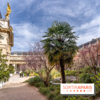 Petit Palais - Collection permanente  -  jardin