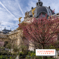 Petit Palais - Collection permanente  -  jardin