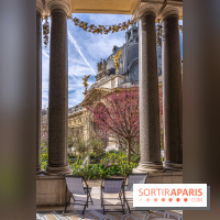 Petit Palais - Collection permanente  -  jardin