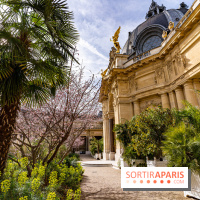 Petit Palais - Collection permanente  -  jardin