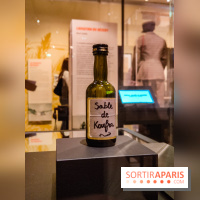 Exposition Les soldats du désert : le musée de la Libération dévoile l'épopée du général Leclerc - IMG20230315102330