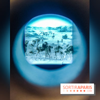 Exposition Les soldats du désert : le musée de la Libération dévoile l'épopée du général Leclerc - IMG20230315100504