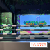 Saut Hermès - IMG 0899