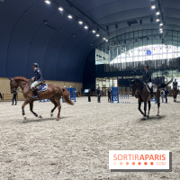 cheval - Saut Hermès - IMG 0912