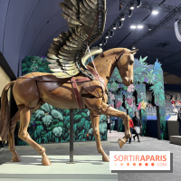 Saut Hermès - IMG 0930