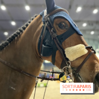 cheval - Saut Hermès - IMG 0975