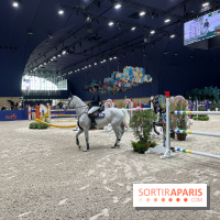 cheval - Saut Hermès - IMG 1015