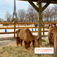 Saut Hermès - image00004