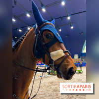 Saut Hermès - image00011