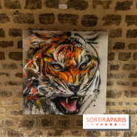 Exposition street-art Sax - Eglise de la Madeleine  -  A7C6519