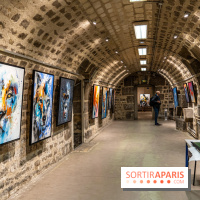 Exposition street-art Sax - Eglise de la Madeleine  -  A7C6513