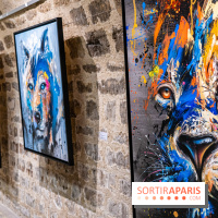 Exposition street-art Sax - Eglise de la Madeleine  -  A7C6509