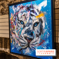 Exposition street-art Sax - Eglise de la Madeleine  -  A7C6508