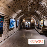 Exposition street-art Sax - Eglise de la Madeleine  -  A7C6476 HDR