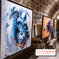 Exposition street-art Sax - Eglise de la Madeleine  -  A7C6449 HDR