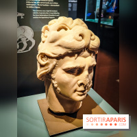 Félins, l'exposition qui nous fait craquer au Muséum national d'Histoire naturelle - photos - IMG20230321103728