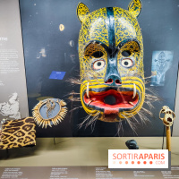 Félins, l'exposition qui nous fait craquer au Muséum national d'Histoire naturelle - photos - IMG20230321104440