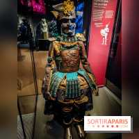 Félins, l'exposition qui nous fait craquer au Muséum national d'Histoire naturelle - photos - IMG20230321103918