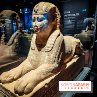 Félins, l'exposition qui nous fait craquer au Muséum national d'Histoire naturelle - photos - IMG20230321103615