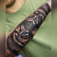 Underground Coffee - tigrenicolas