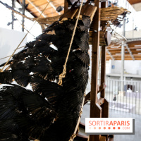 Dans l'air, les machines volantes, nos photos - IMG 8825