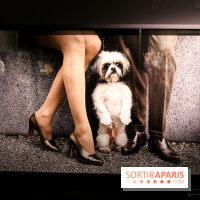 Elliott Erwitt, l'expo au Musée Maillol, nos photos - IMG 8903