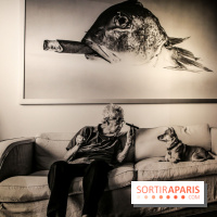 Elliott Erwitt, l'expo au Musée Maillol, nos photos - IMG 8956