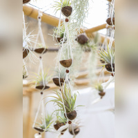 Les journées des plantes & Art  - 0S6A3398