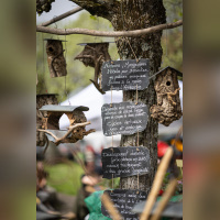 Les journées des plantes & Art  - 0S6A3584