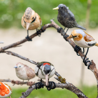 Les journées des plantes & Art  - 0S6A4346