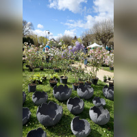 Les journées des plantes & Art  - 230401 Blandy PhotoCaroleDesheulles 192