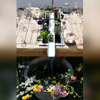 Les journées des plantes & Art du Jardin à Blandy-les-Tours - JourneePlantesBlandy 157©CDesheulles