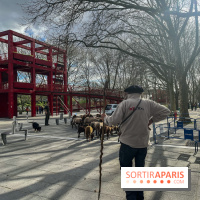 Transhumance à la Villette - 520B6FD8 EB52 4A6D B5C2 D861DE517908
