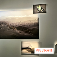 Circulation(s), le festival de la jeune photographie européenne au Centquatre - EEE2D674 7373 43B1 94CC 9B8160130950